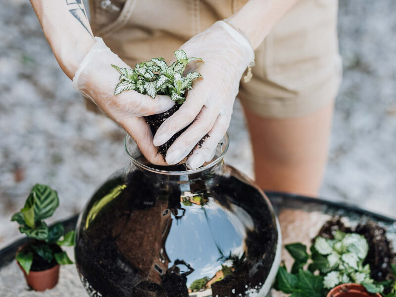 A person building a terrarium