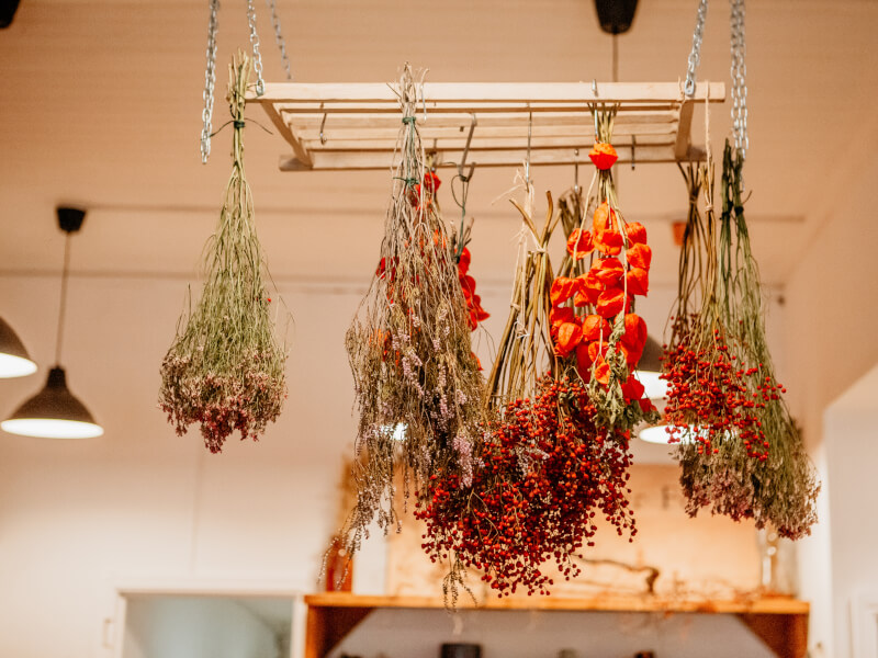 A selection of dried flowers and berries hanging in a room