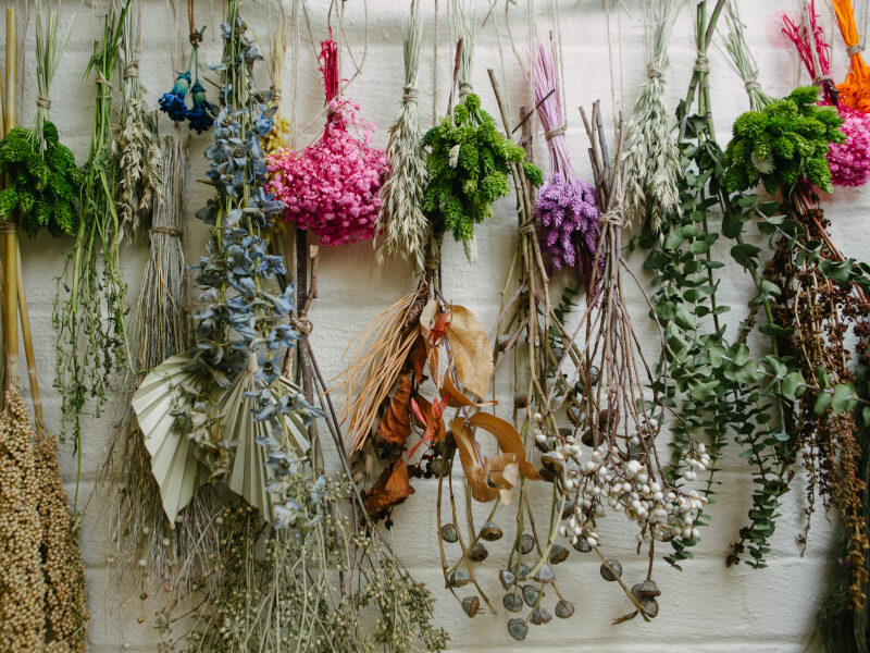 A selection of dried flowers hanging upside down 