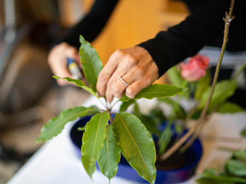 A close up of a person creating an ikebana arrangement with leaves and roses