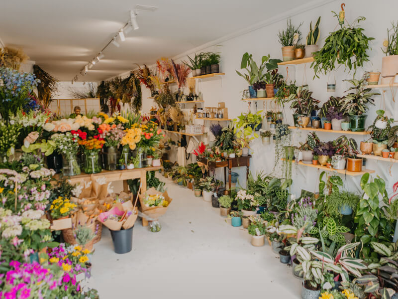 A room filled with tubs of flowers in a variety of colours and sizes