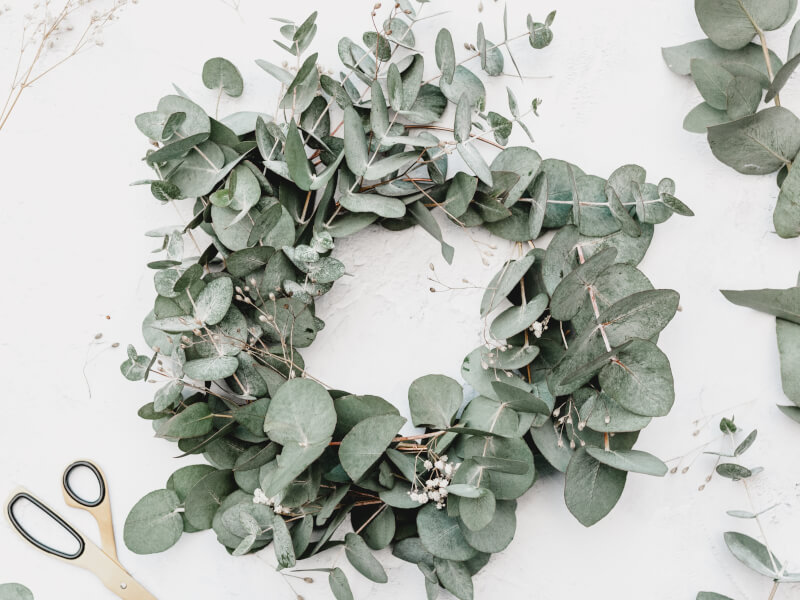 The contents of a christmas wreath making kit
