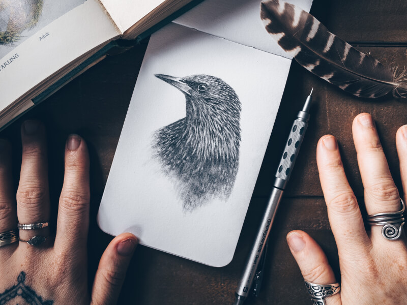 A person is holding a piece of paper with a pencil drawing of a raven on it