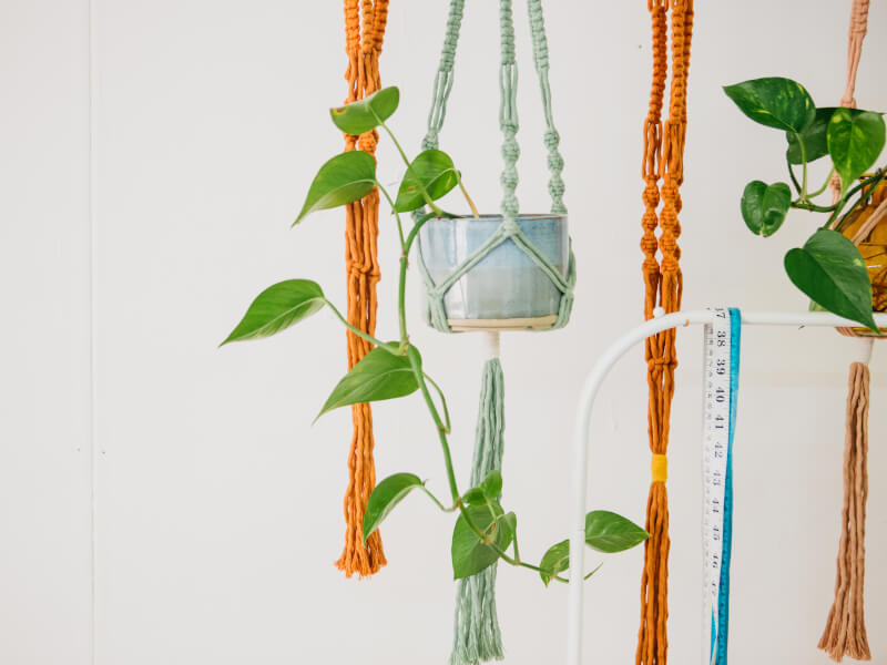 Hanging macrame plant holders in orange and green