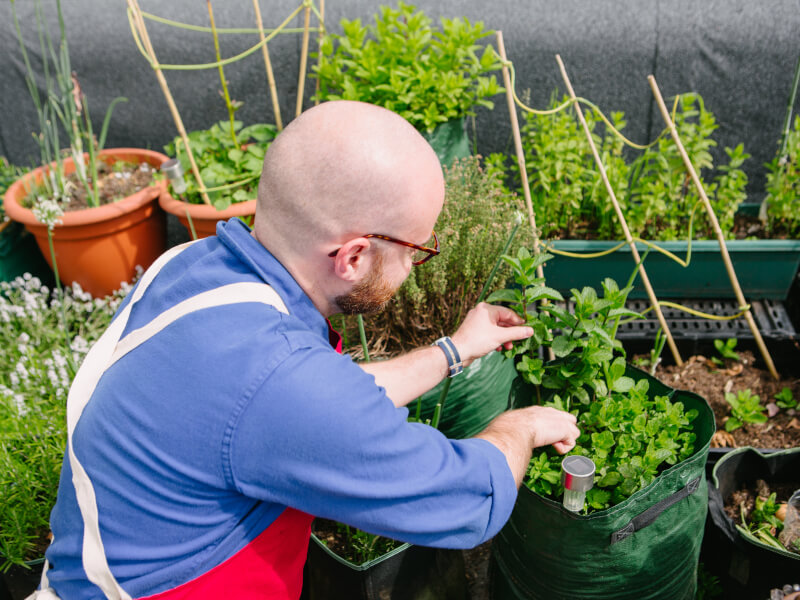 A man gardening on an urban rooftop