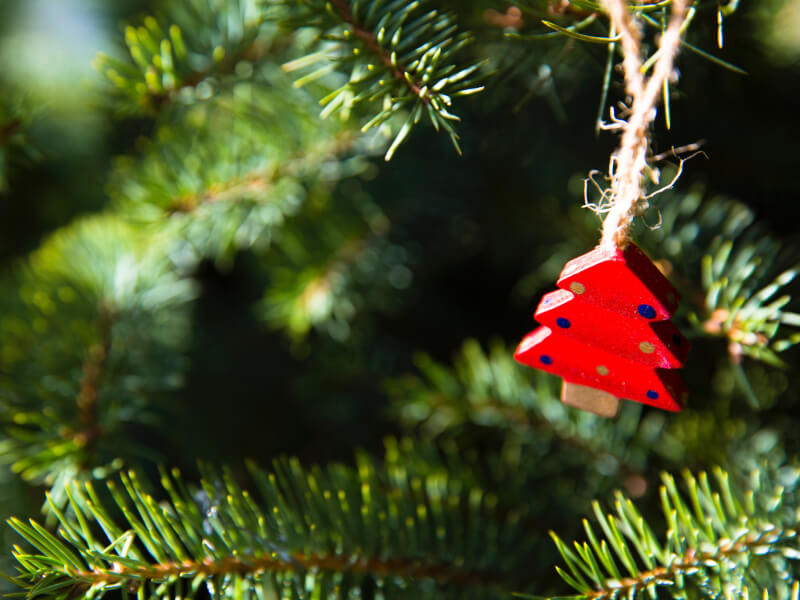 A close up image of a wooden red Christmas tree decoration.