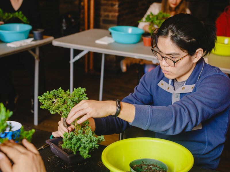 Man in a plant class with greenery and soil