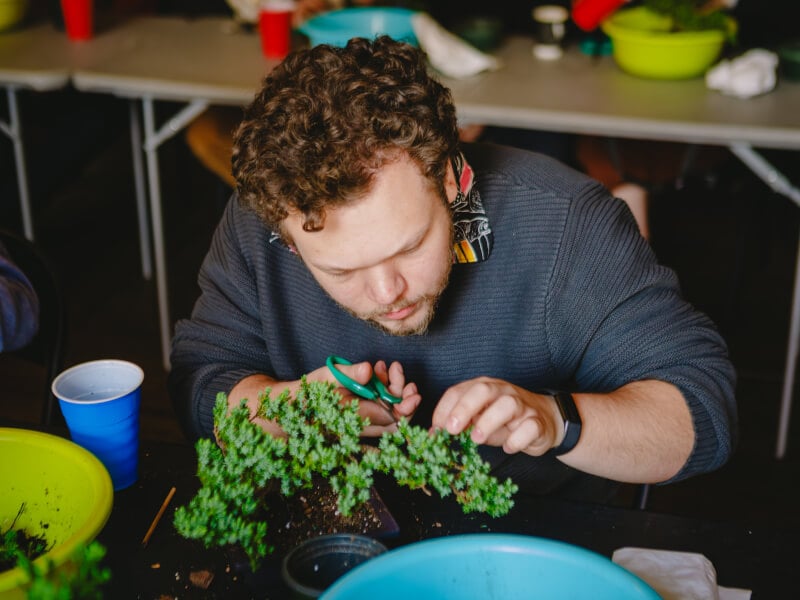 Man cutting plants in a terrarium/nature class