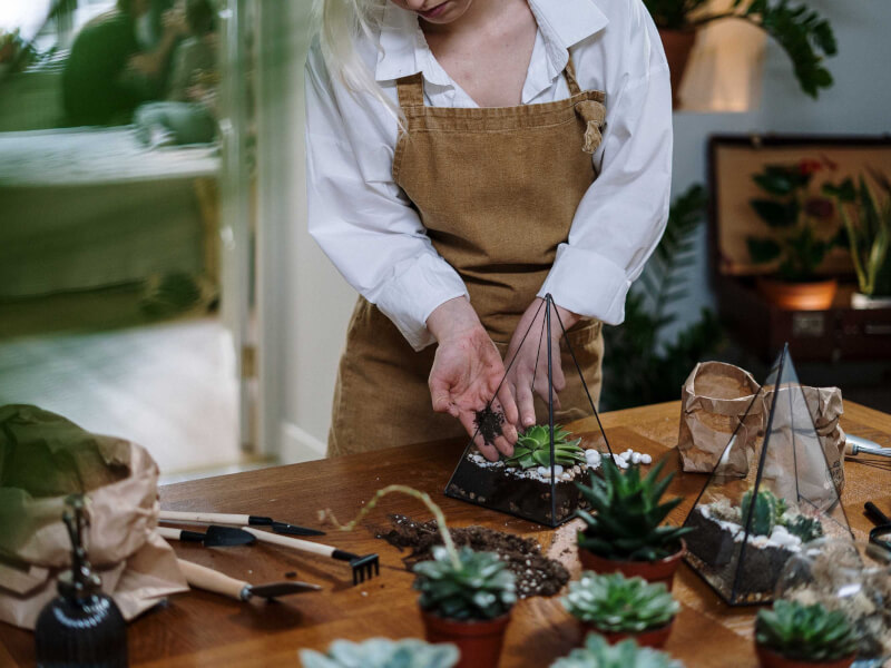A person adding soil to a mini terrarium