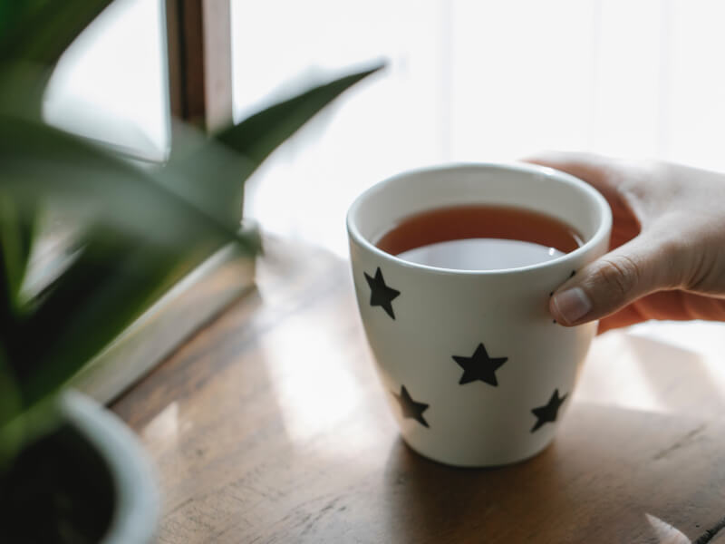 A person holding a cup of tea in a white and blue star mug. A plant is in the foreground. 