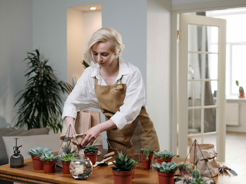 A person making several glass terrariums, using succulent plants as decoration