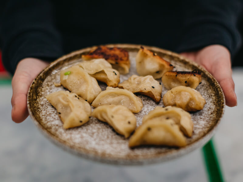 A close up of a person holding a plate of Asian dumplings