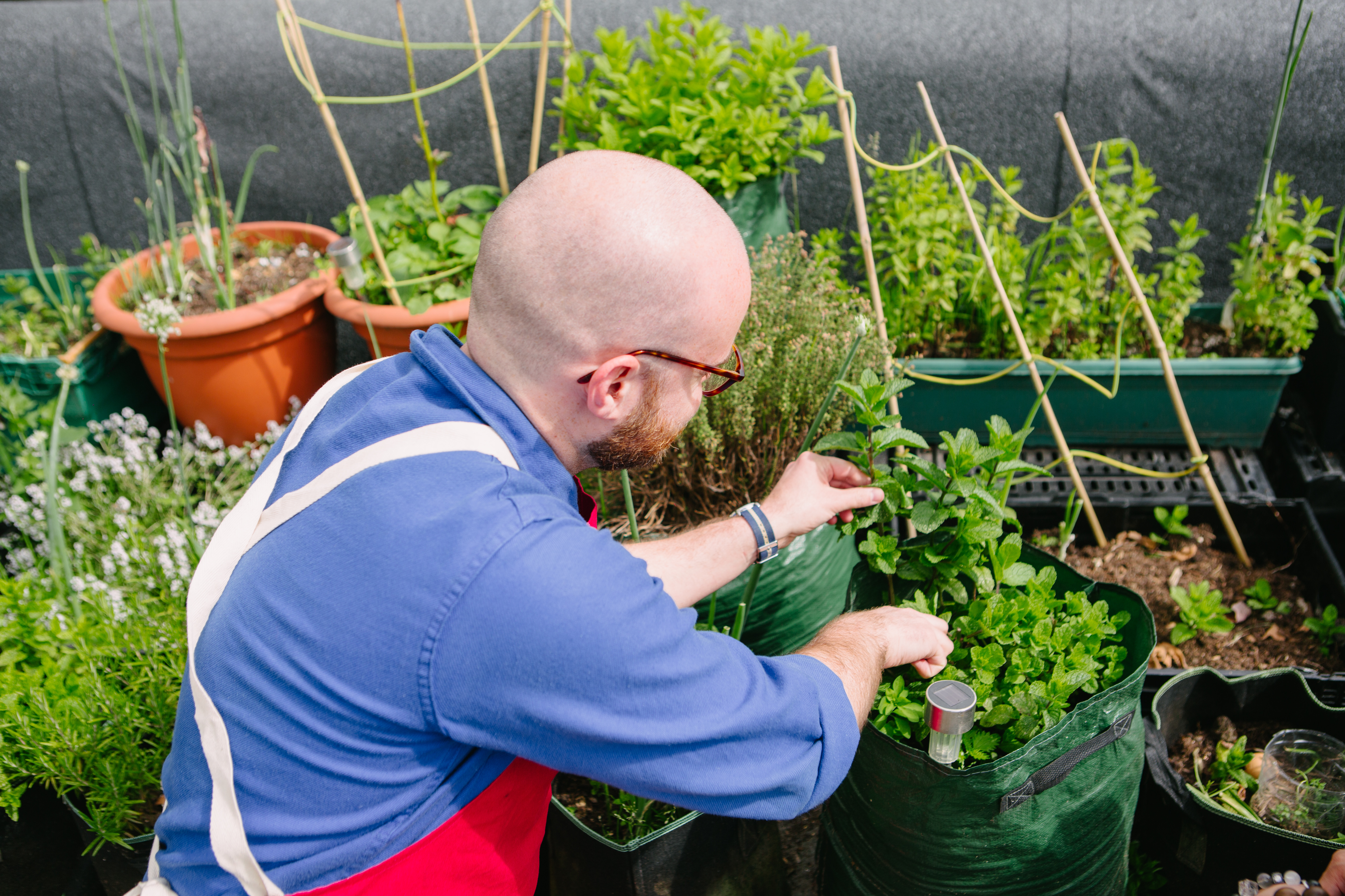 A man is working on a small rooftop garden filled with plants