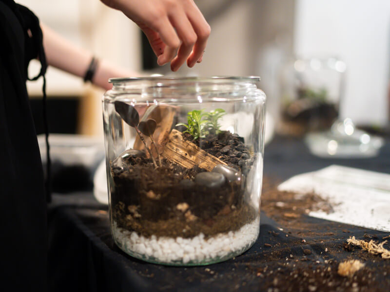 A close up of someone adding things to a glass terrarium filled with plants and soil