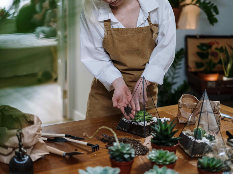 A person adding the final section of soil to a glass terrarium