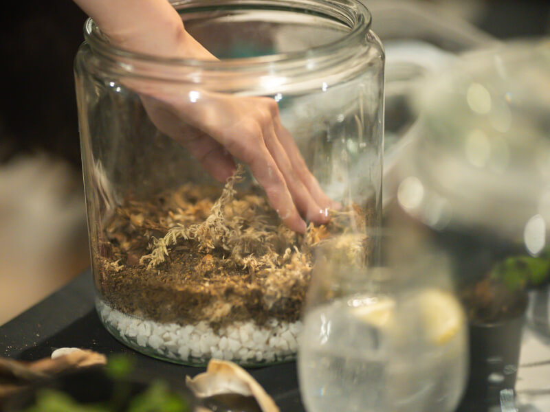 A hand arranging plants in a terrarium class