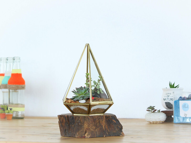 Diamond shaped terrarium filled with pebbles and succulents, sitting on a slice of wood on a wooden table