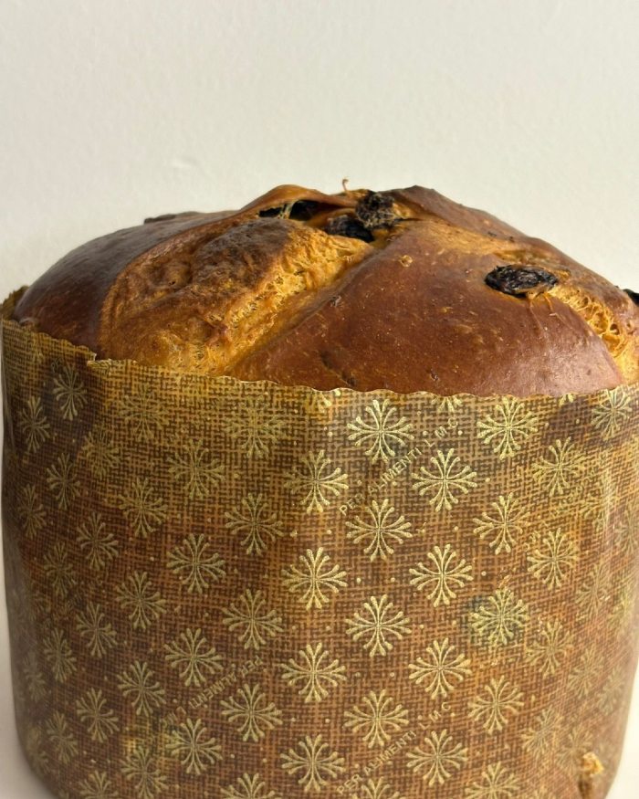 Italian Panettone