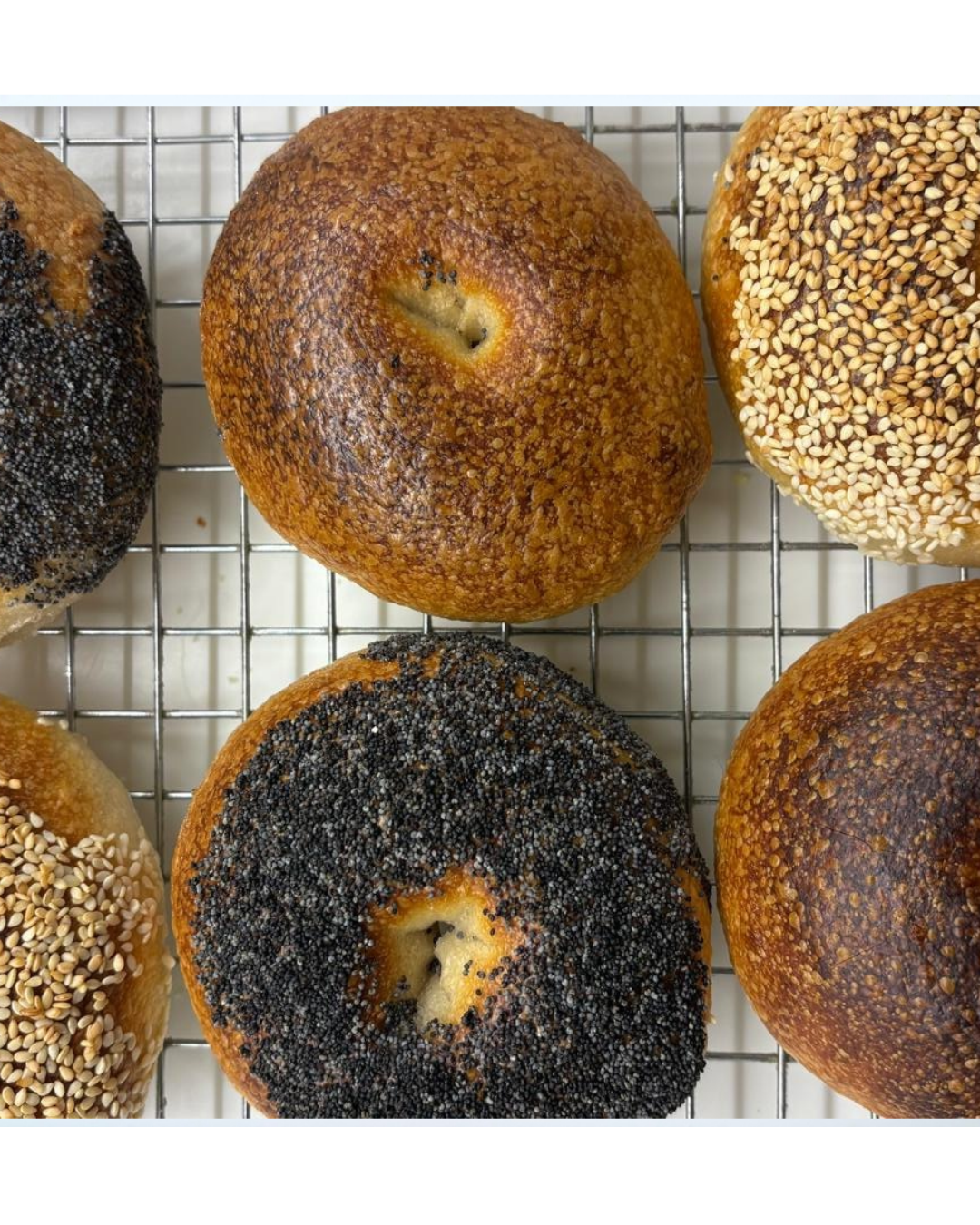 Bagels 